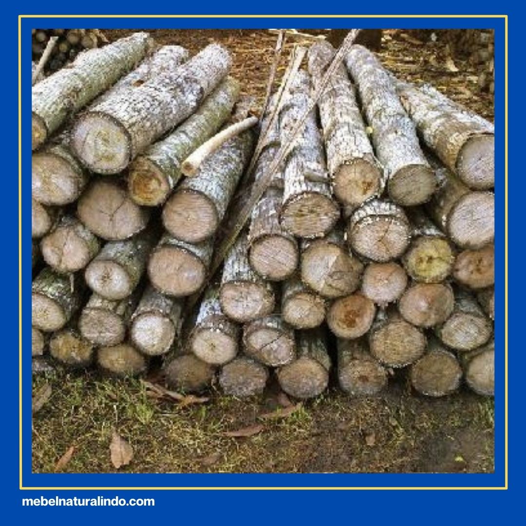 Mebel Kayu Mindi