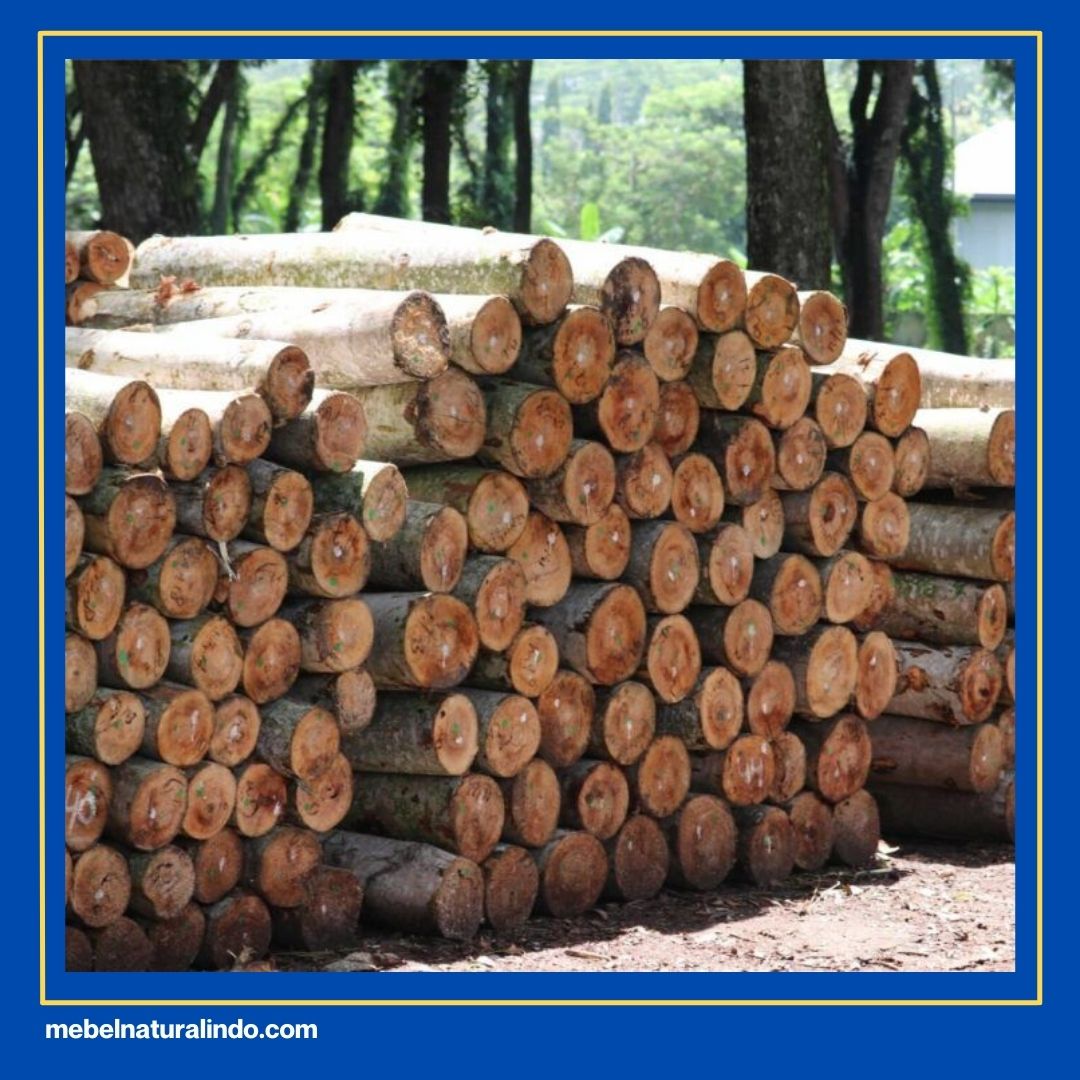 Mebel Kayu Mindi