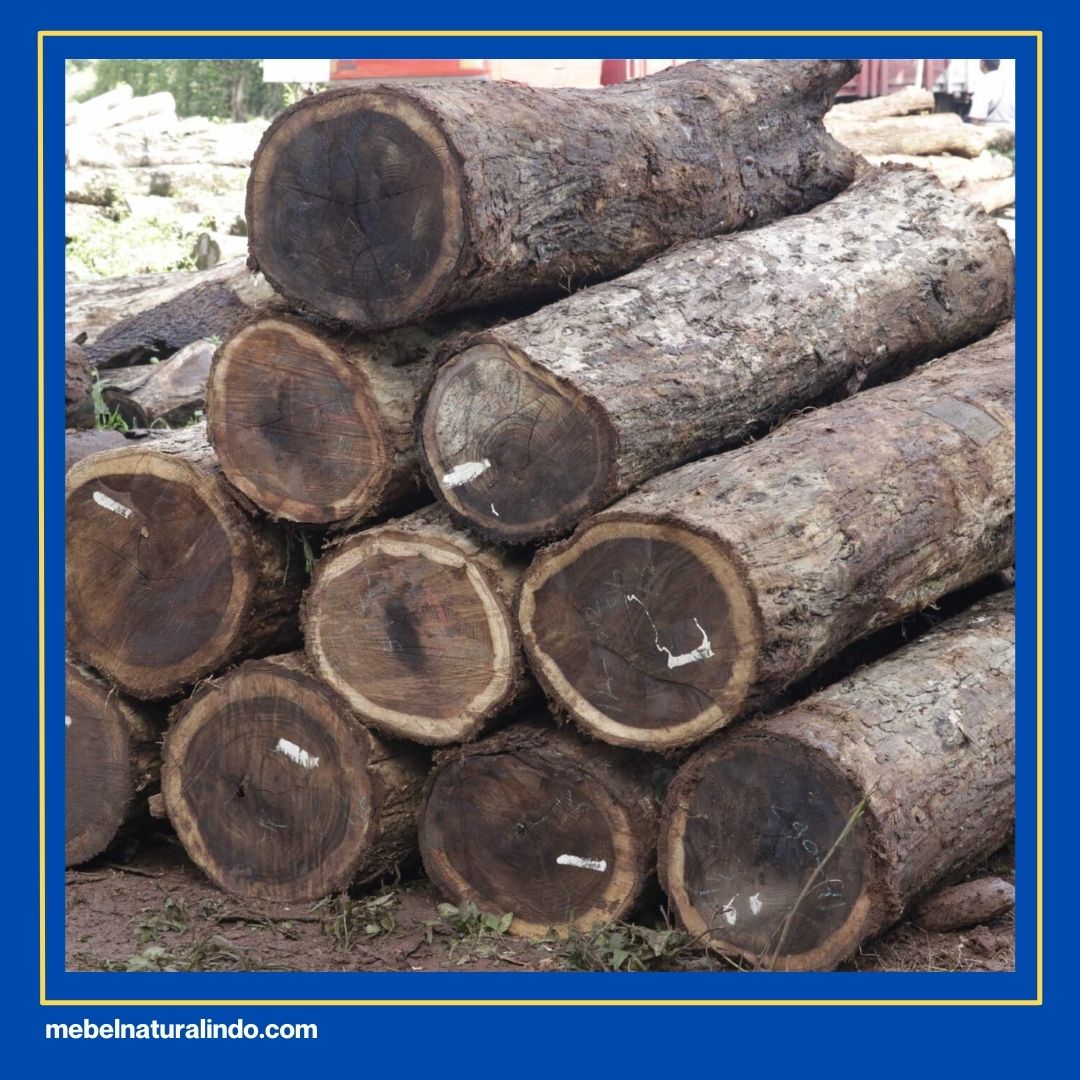 Mebel Kayu Sonokeling