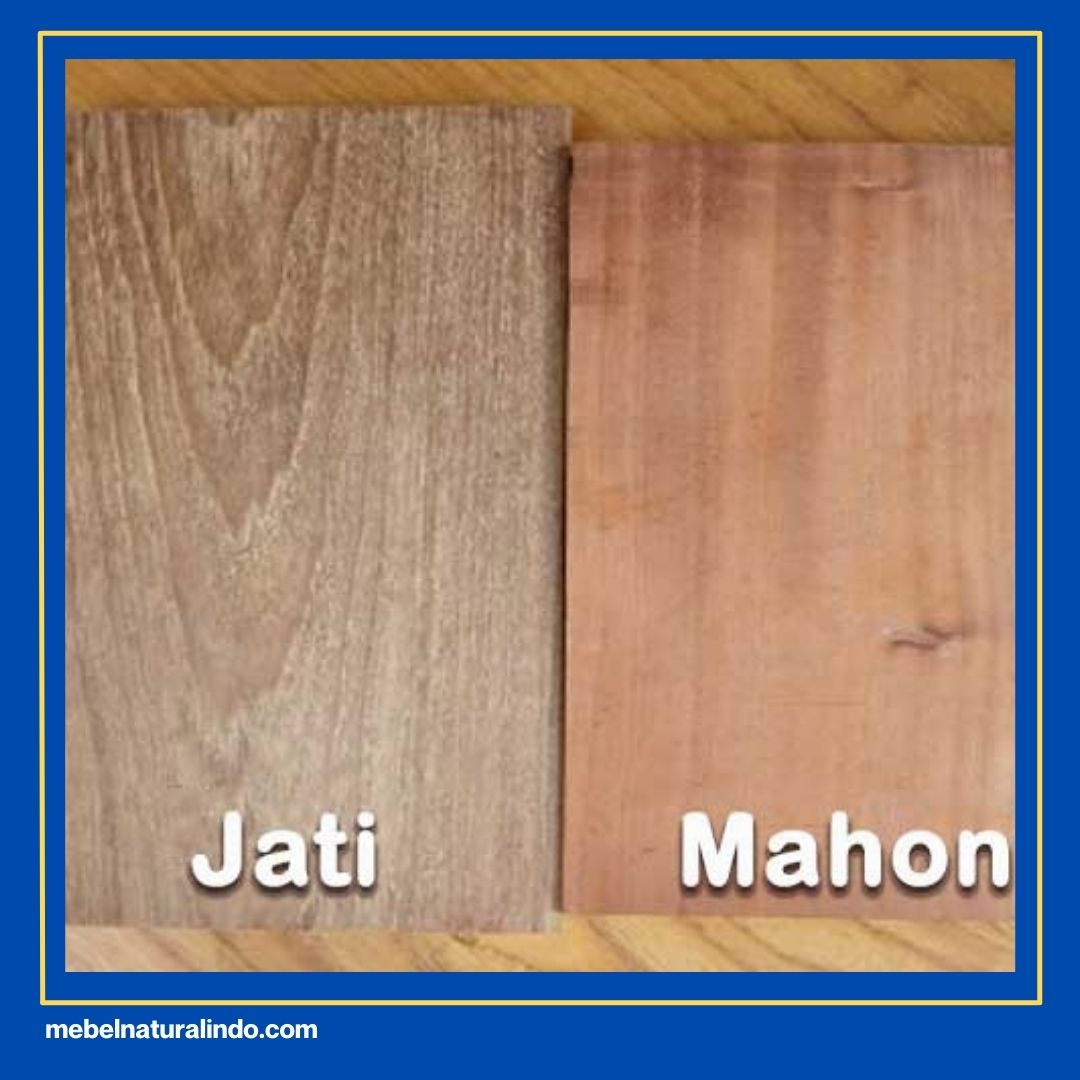 Apa Perbedaan Kayu Jati dan Kayu Mahoni