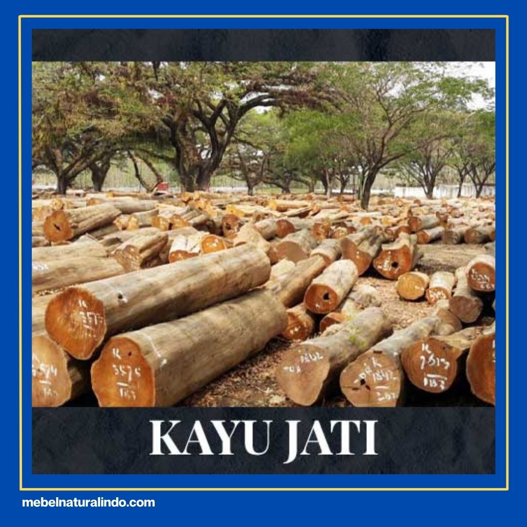 Toko Furniture Jati di Medan
