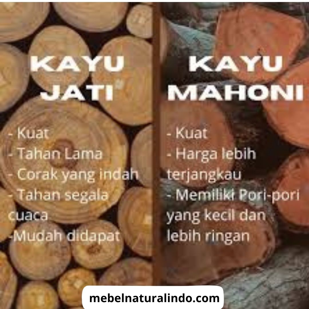 Apa Perbedaan Kayu Mahoni dan Jati
