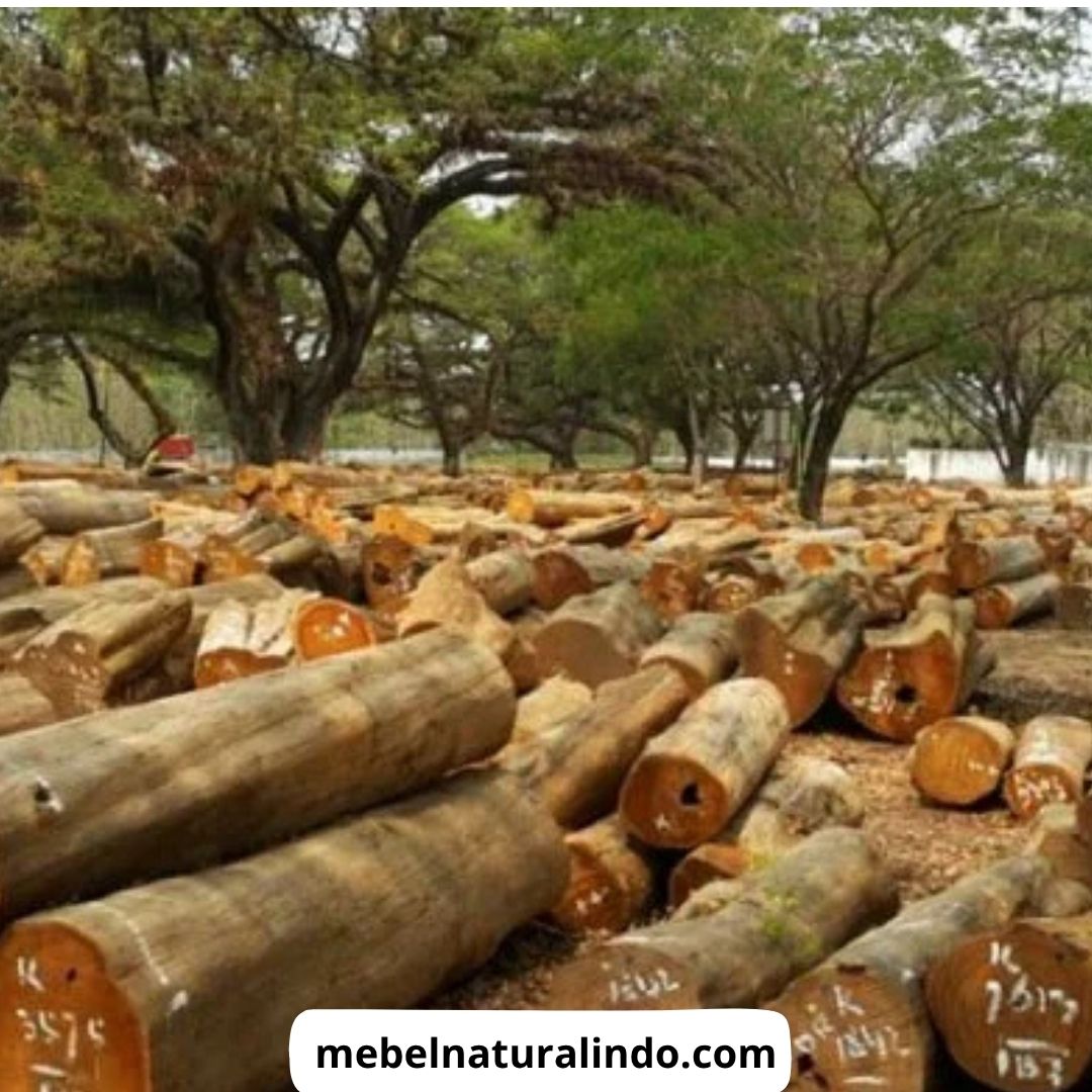 Furniture Jati Jakarta