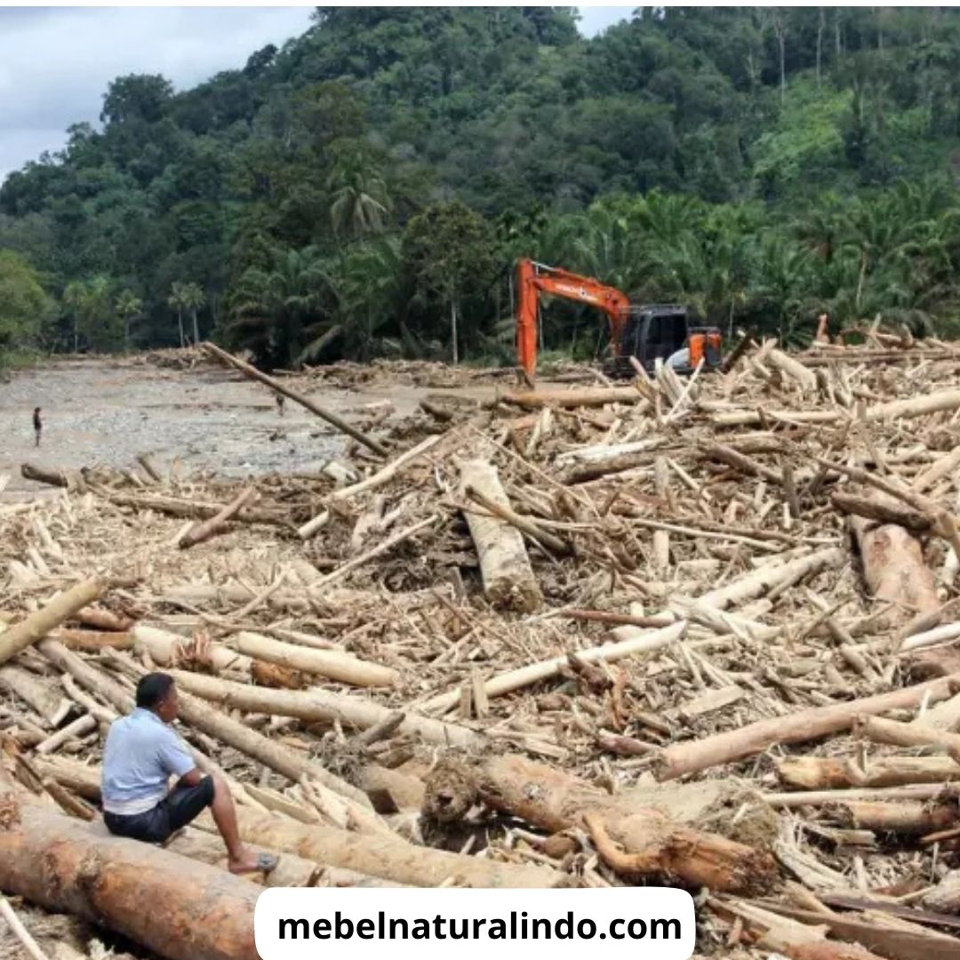 Penebangan Hutan di Sumatera