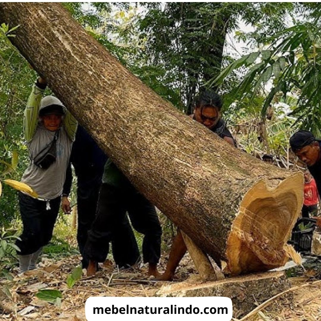 Furniture Kayu Jati Jakarta