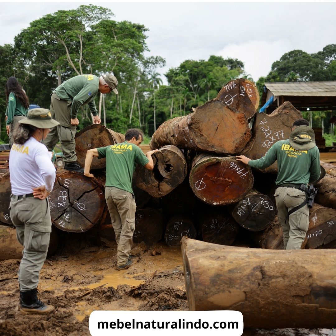 Beli Furniture Murah Dimana