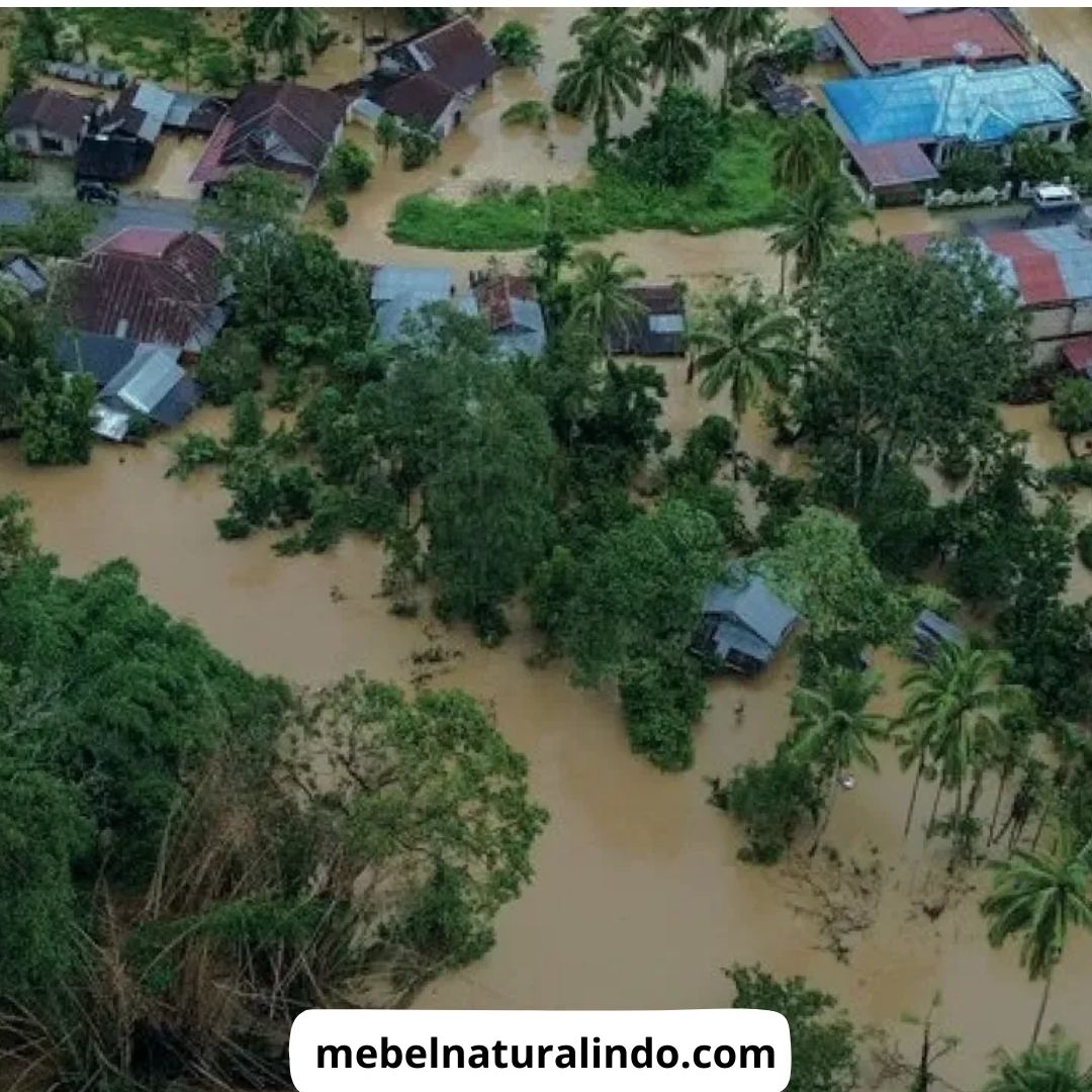 Penebangan Hutan di Sumatera
